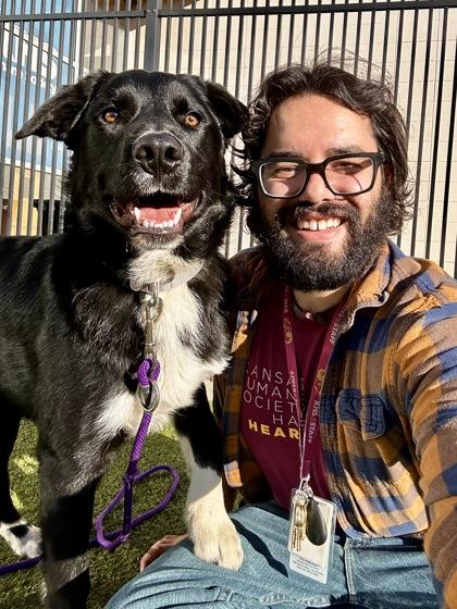 Enlarge Natty, a Adoptable mixed breed in Wichita, KS image 3/6