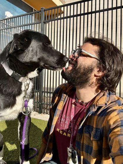 Enlarge Natty, a Adoptable mixed breed in Wichita, KS image 5/6