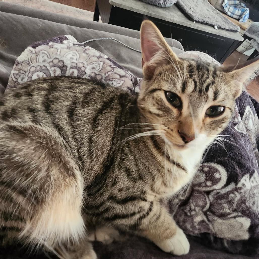 Suzy Q — thumbnail 2