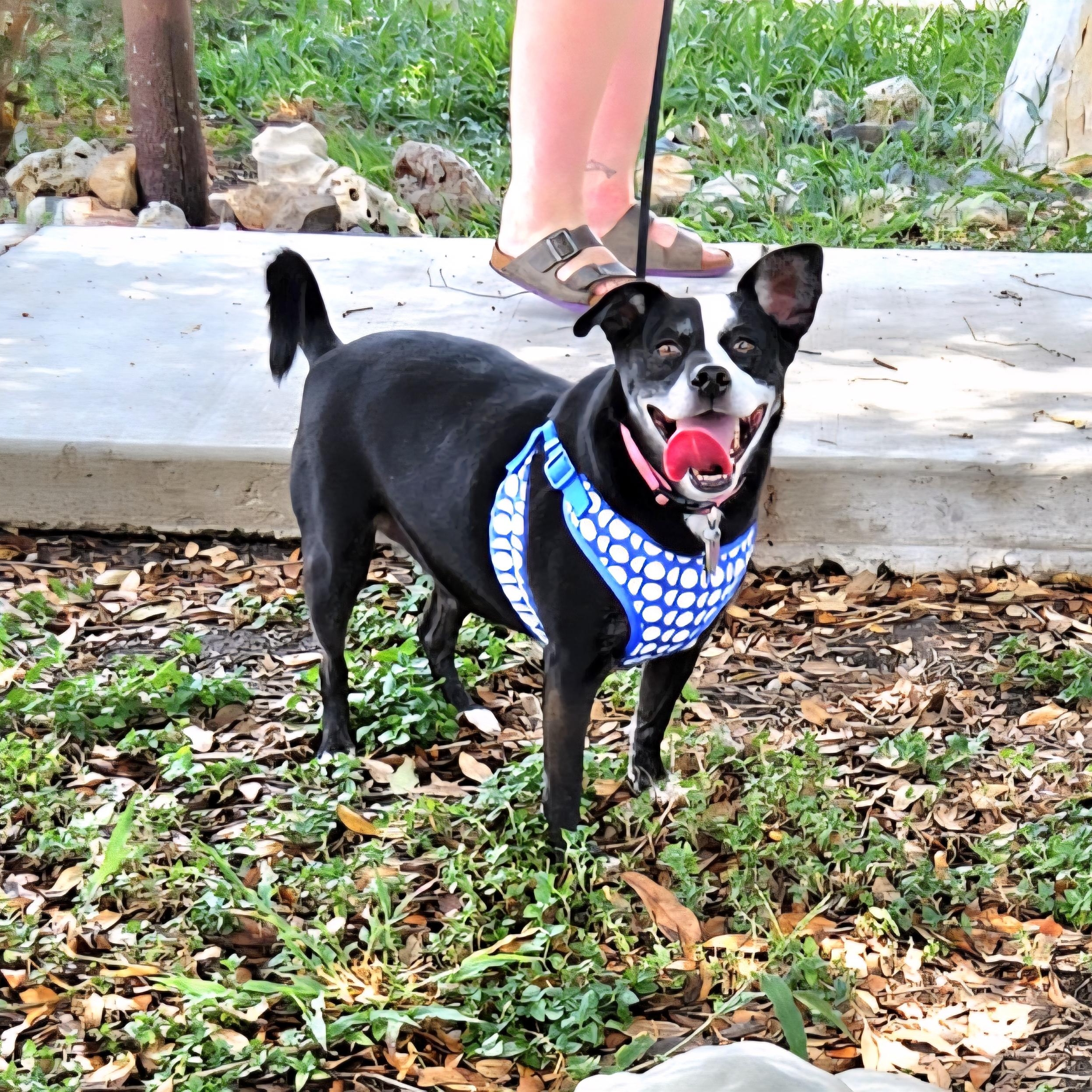 Millie M — thumbnail 4