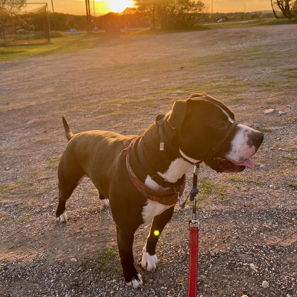 Khonshu — thumbnail 2