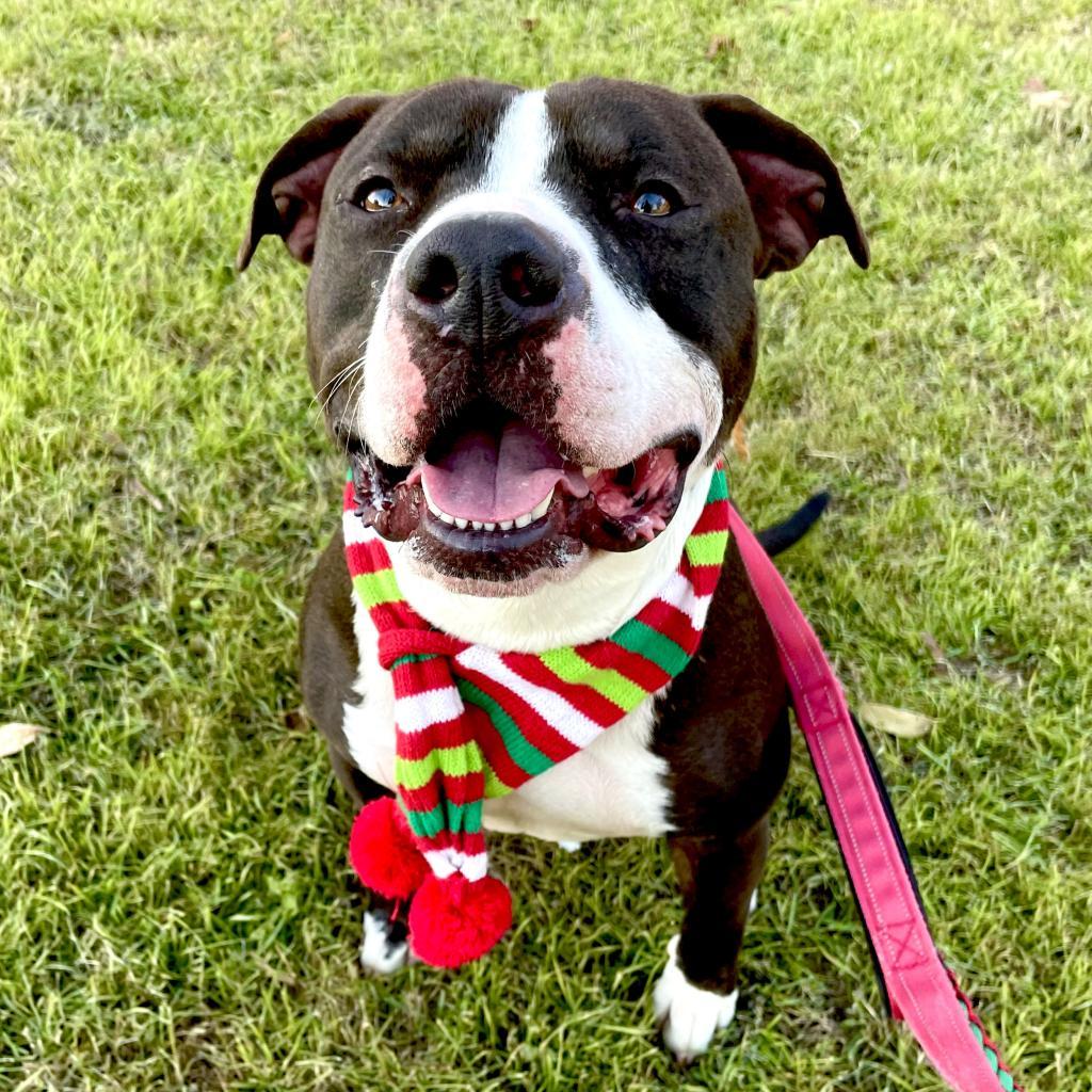 Khonshu — thumbnail 5