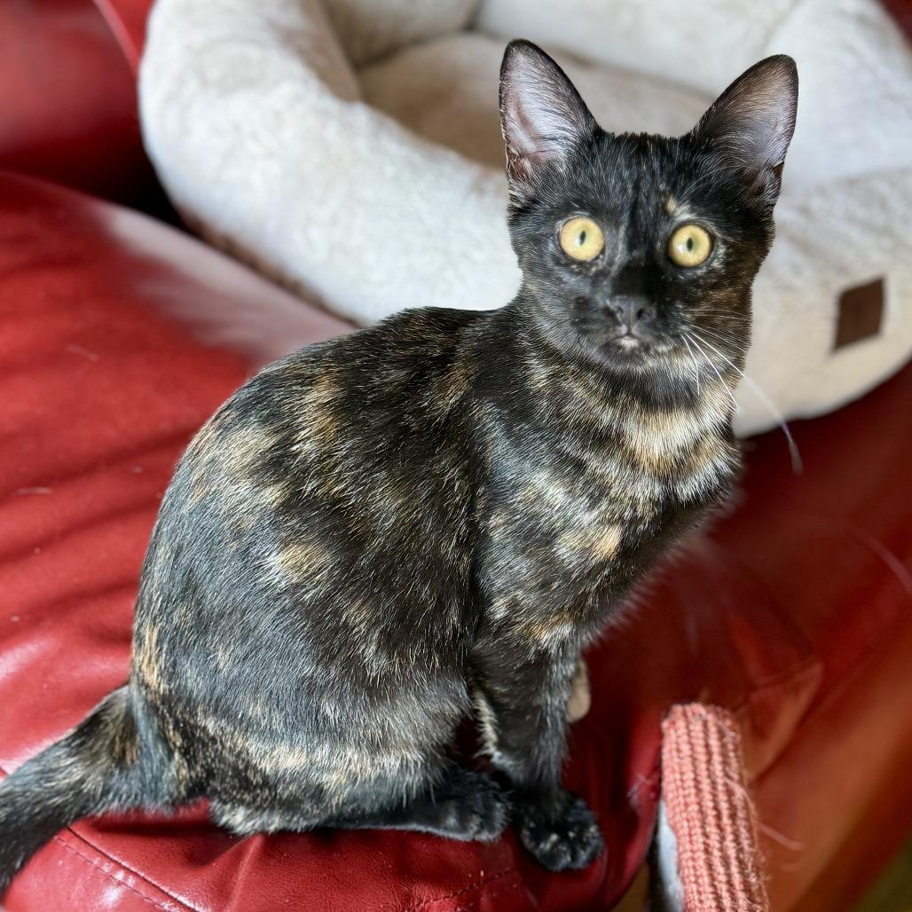 Zoey — thumbnail 3