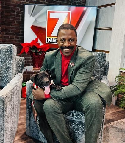 Enlarge Inky $125, a Adoptable mixed breed in Seneca, SC image 2/3