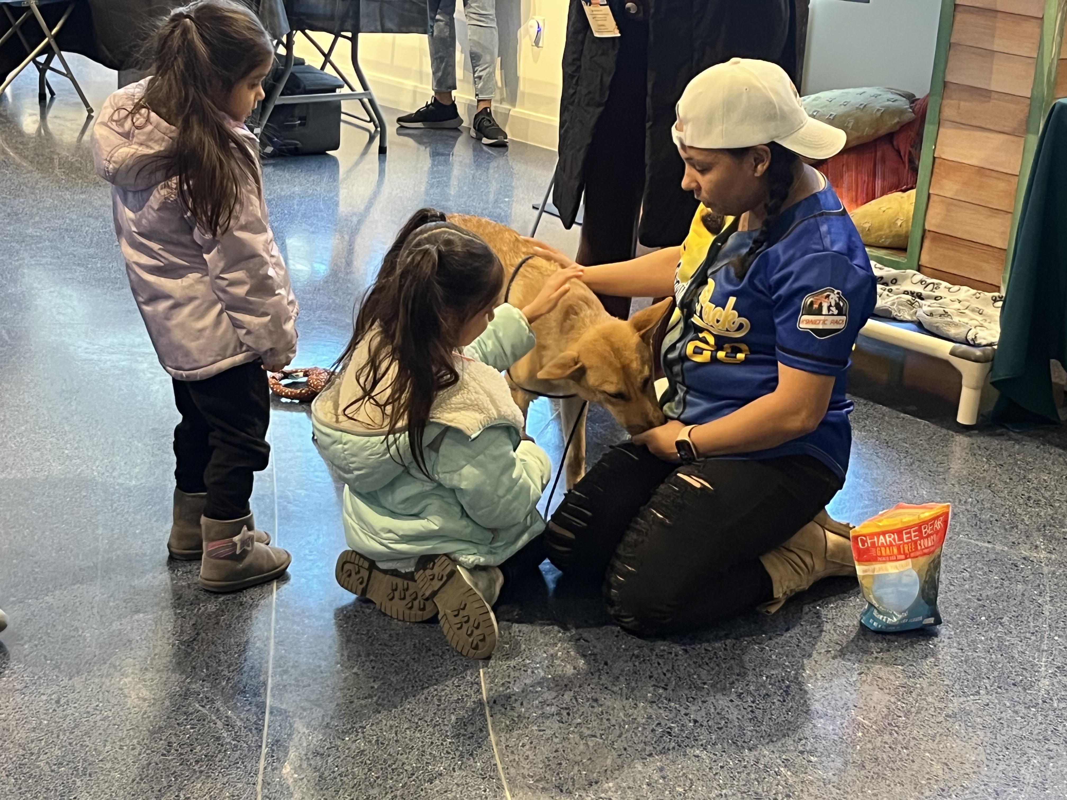 Enlarge Gwendolyn, a ADOPTABLE mixed breed in Poolesville, MD image 1/4