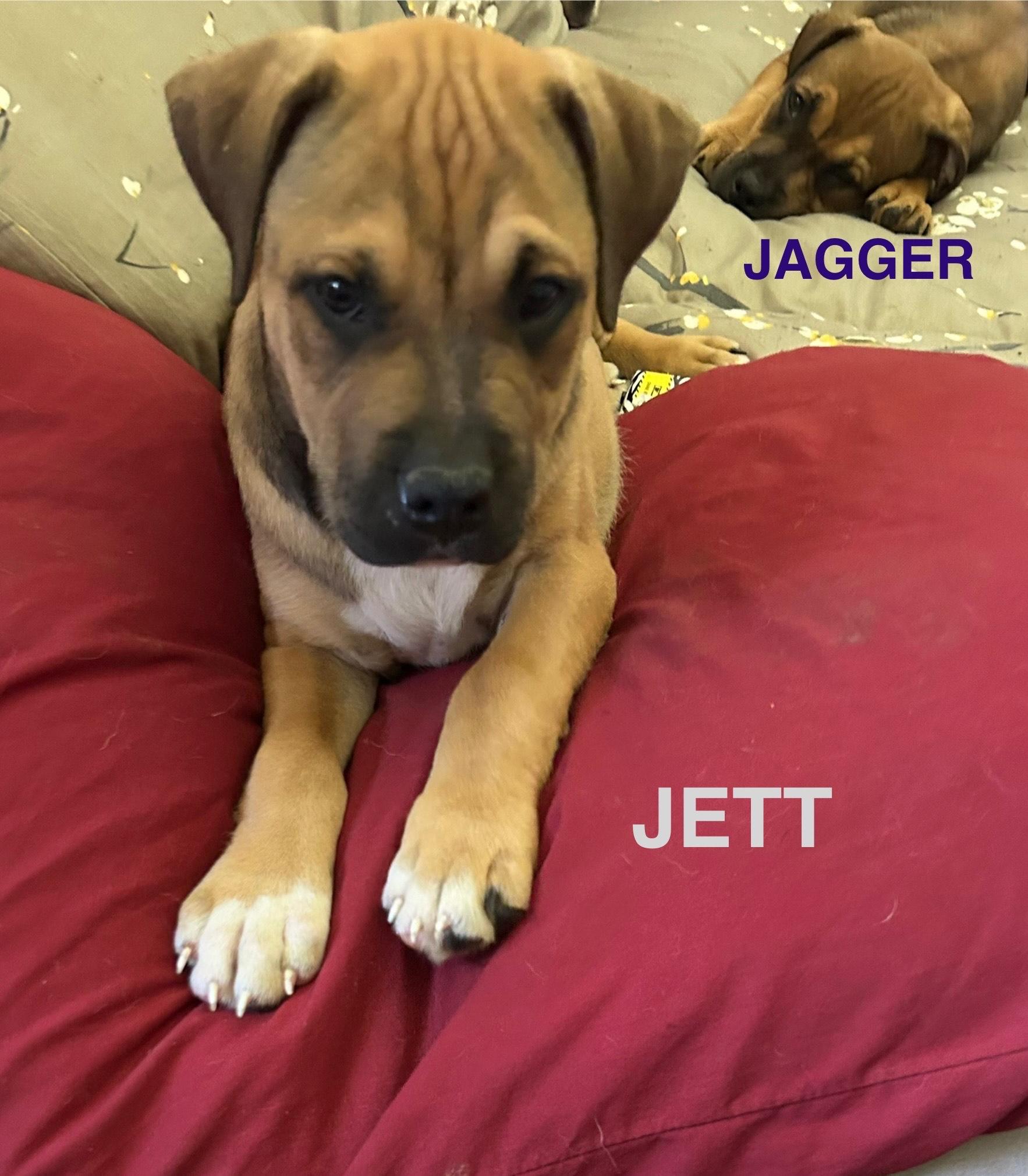 jett 1
