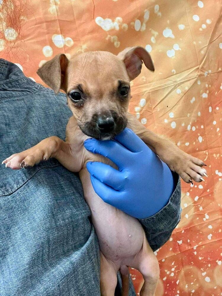 Cindy Lu thumbnail 2