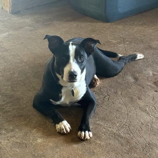 Luna