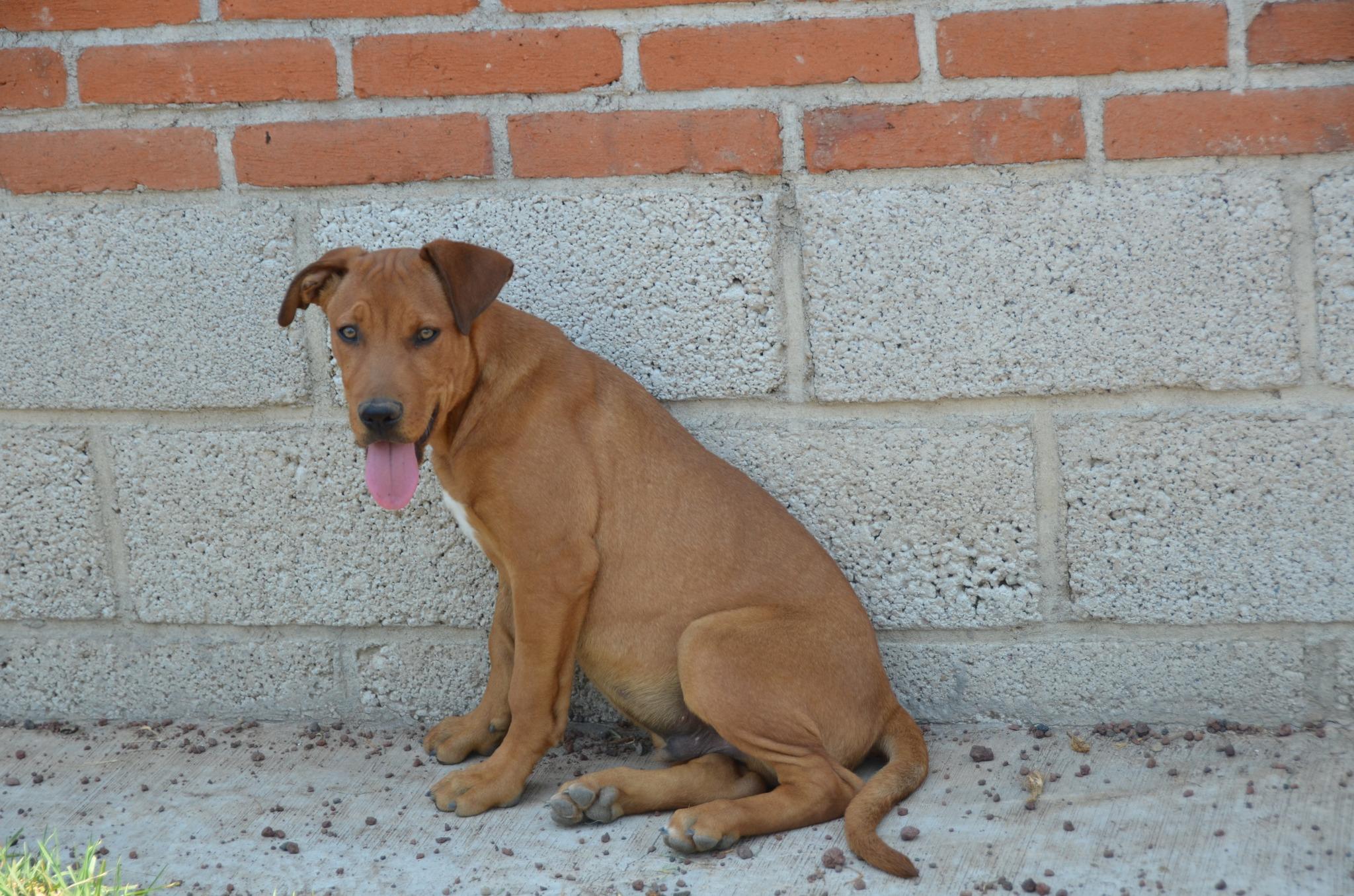 Carmelo