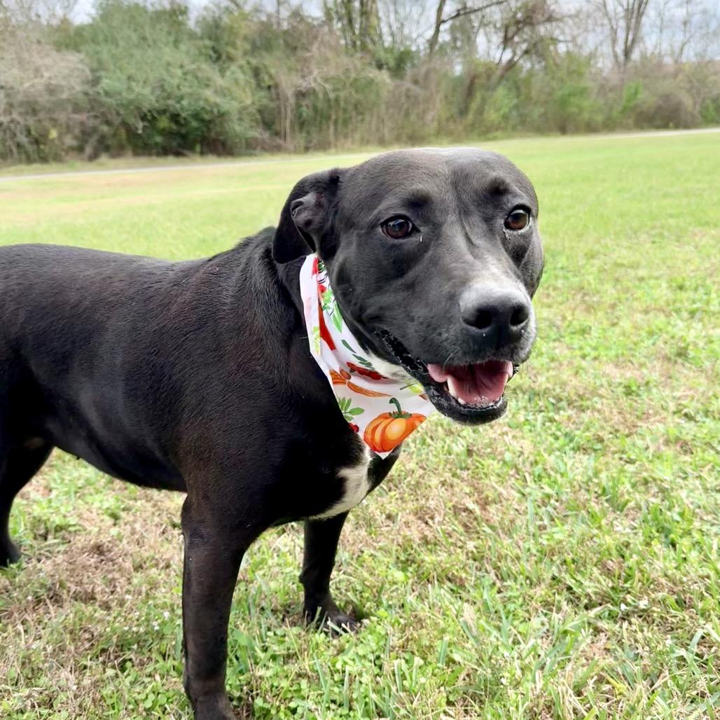 Mercedes — thumbnail 2