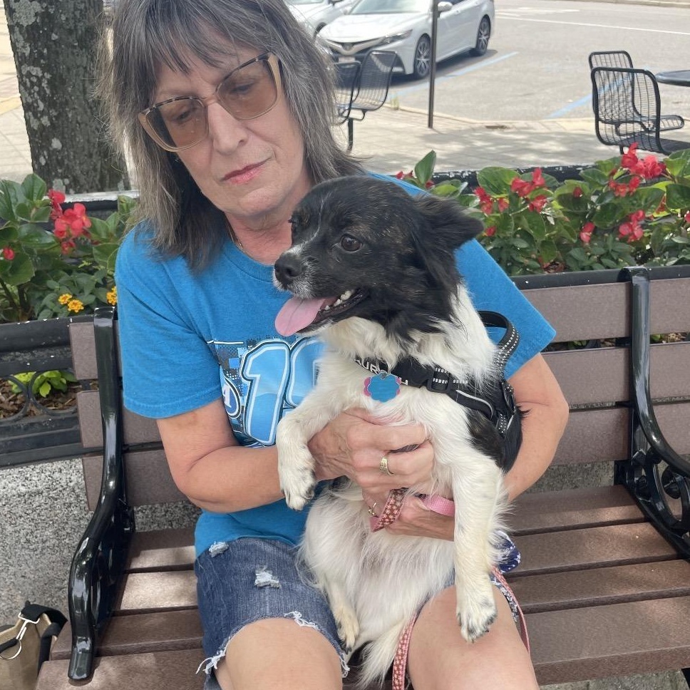 Enlarge Jam Jam, an adopted Pomeranian in Helena, AL image 5/5