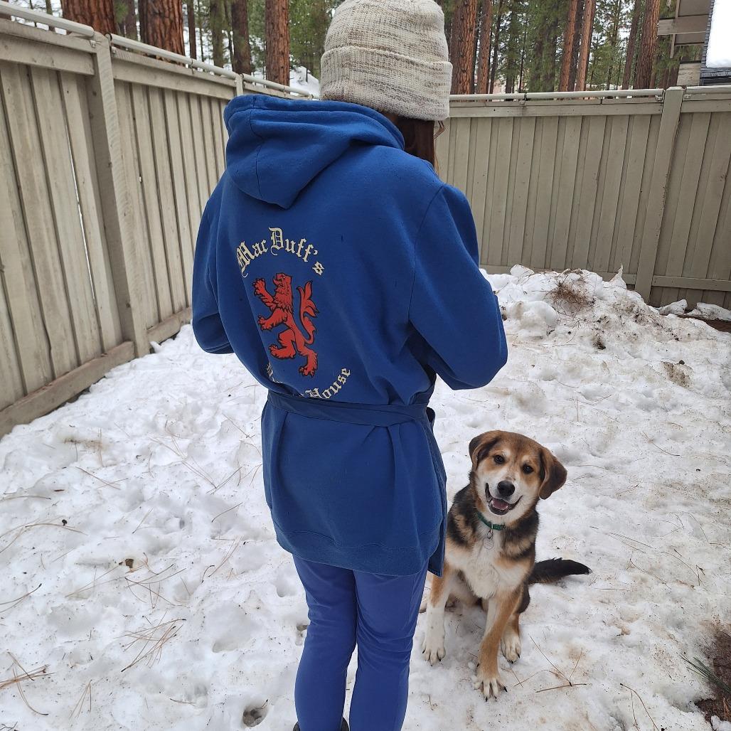 Enlarge Claire Bear, a Adoptable mixed breed in Incline Village, NV image 5/5