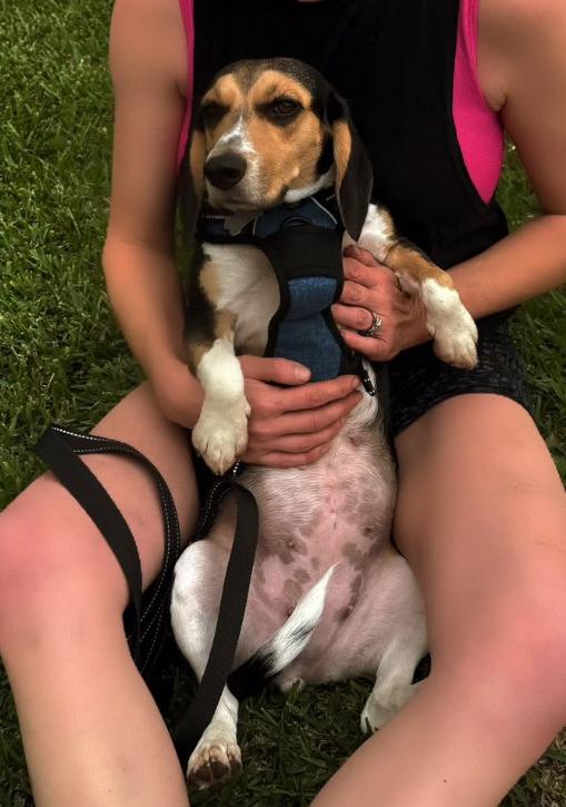 Bonnie