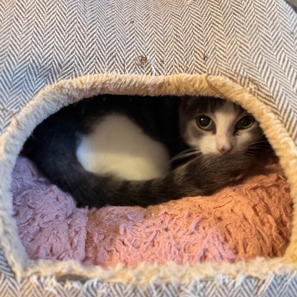 Bean Sprout — thumbnail 5