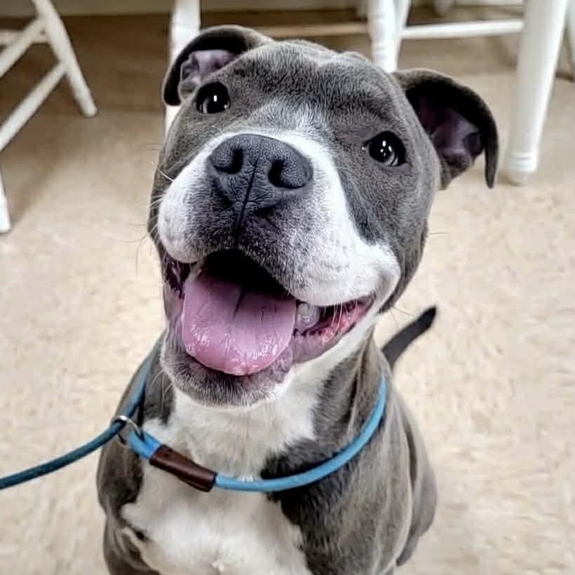 Rucker — thumbnail 2