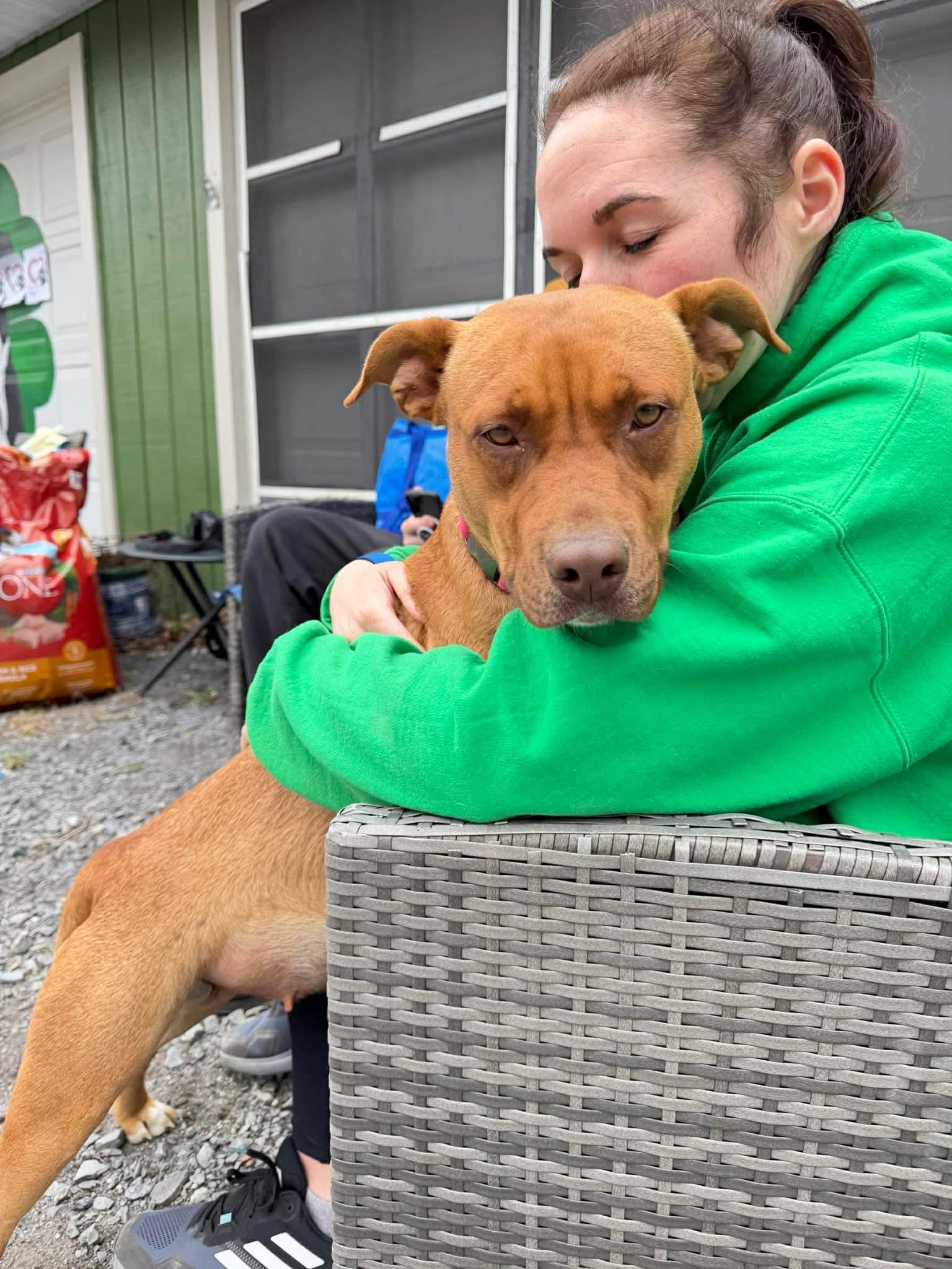 Enlarge Red Robin , a Adoptable Mixed Breed in Argyle, NY image 4/6