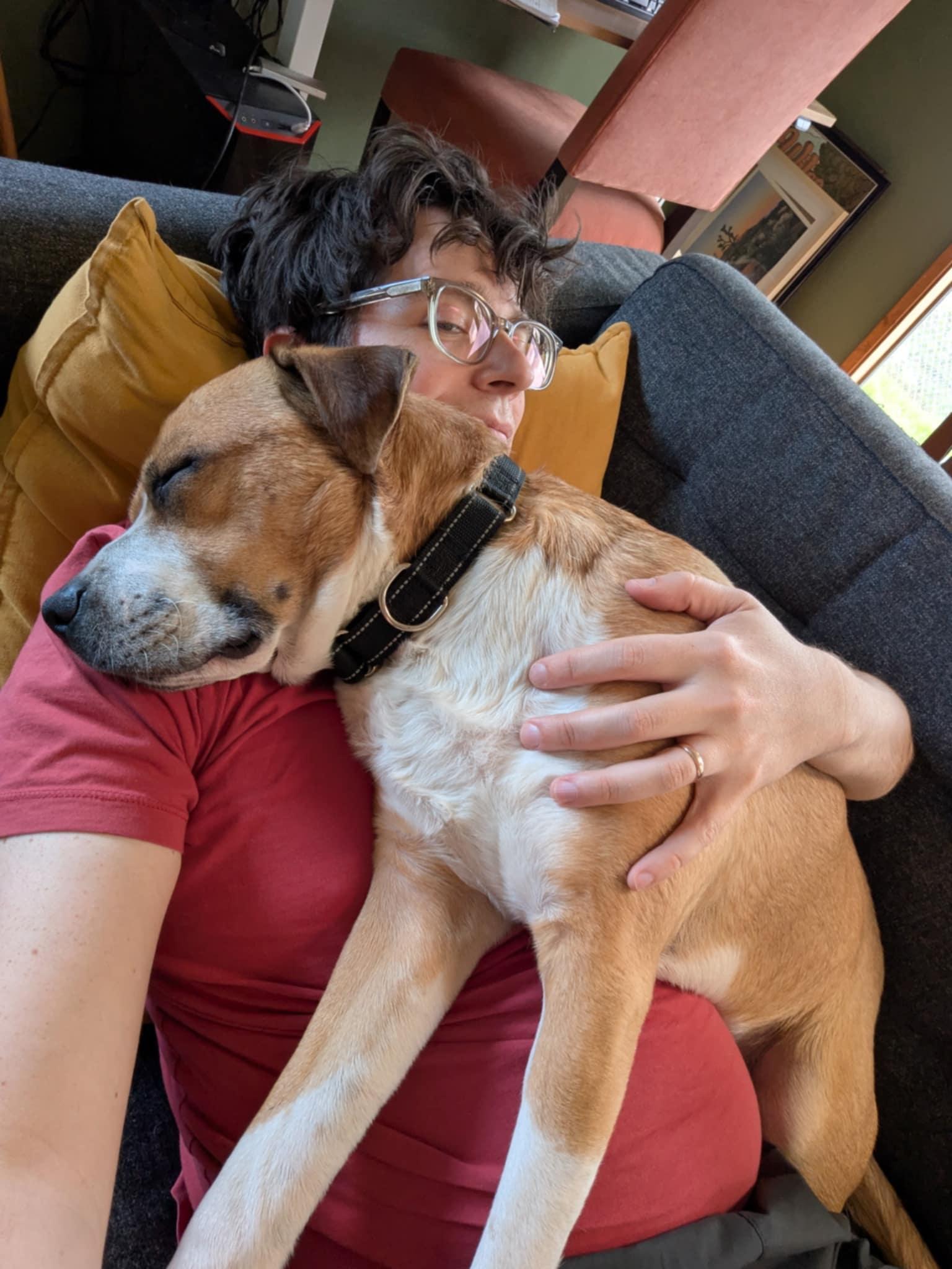 Rum, a Adoptable mixed breed in Blaine, WA image 5/6