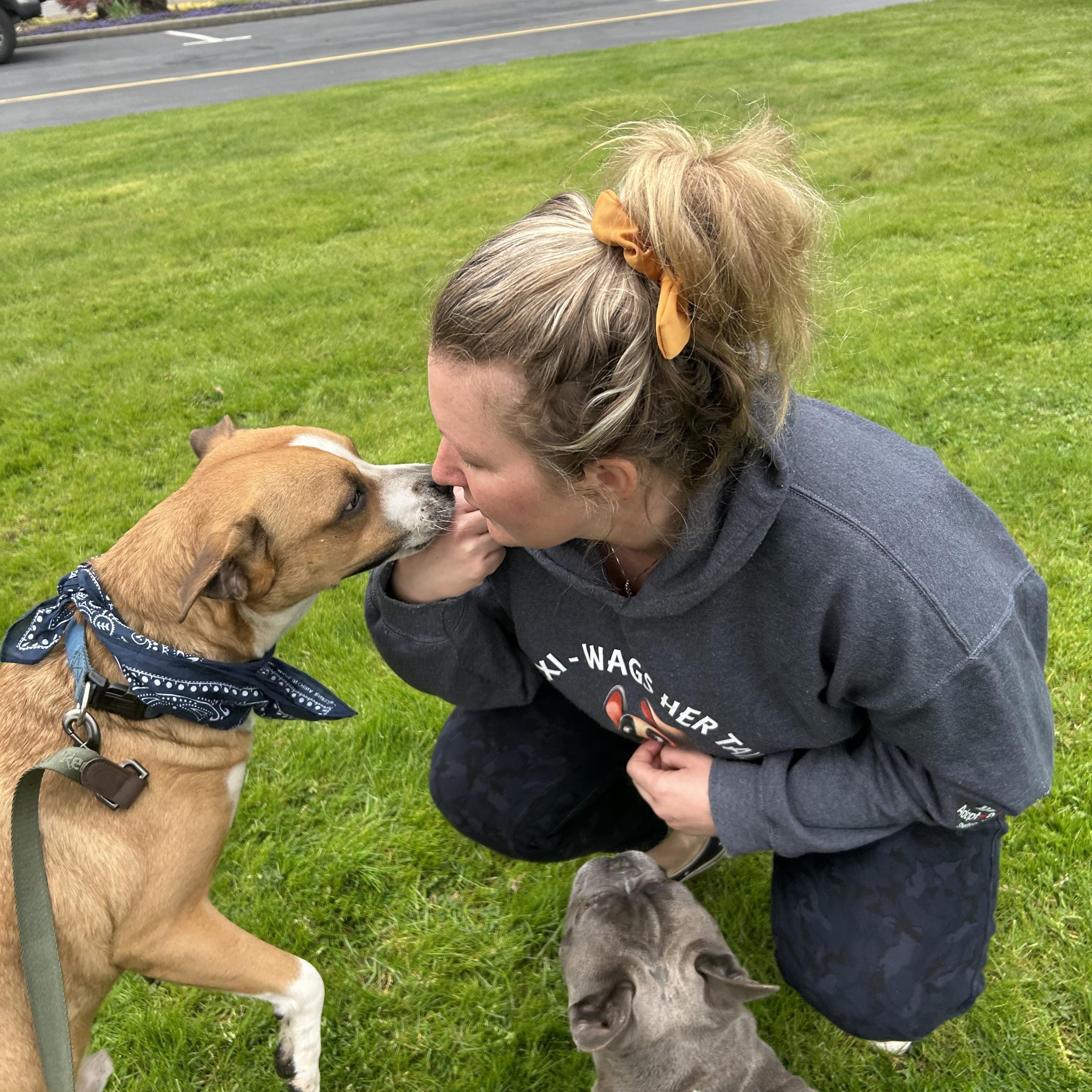 Rum, an adoptable Boxer in Blaine, WA, 98230 | Photo Image 5