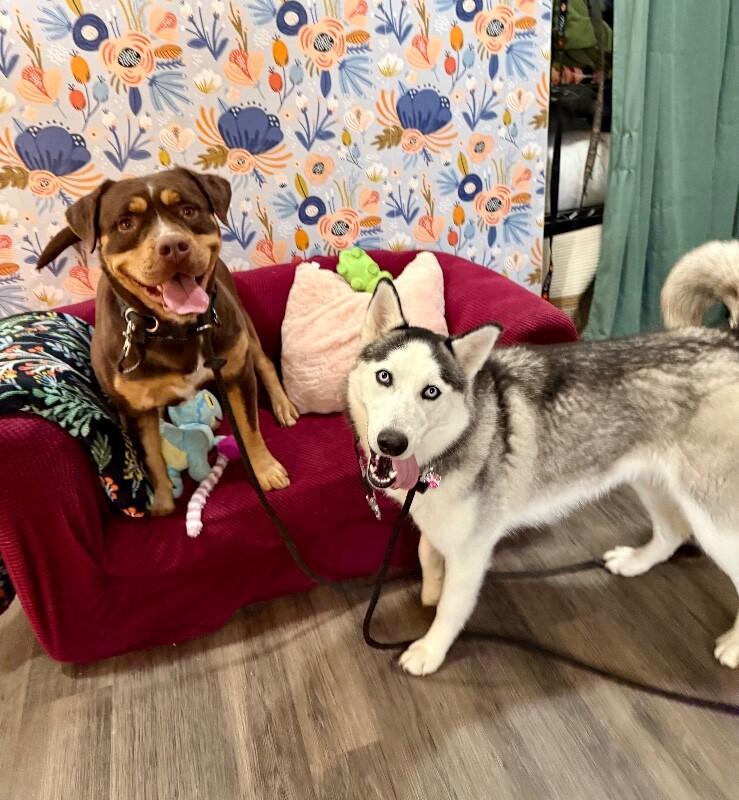 Venus Sky with the Pretty Eyes — thumbnail 2