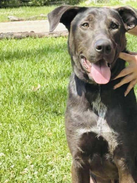 Spencer — thumbnail 5