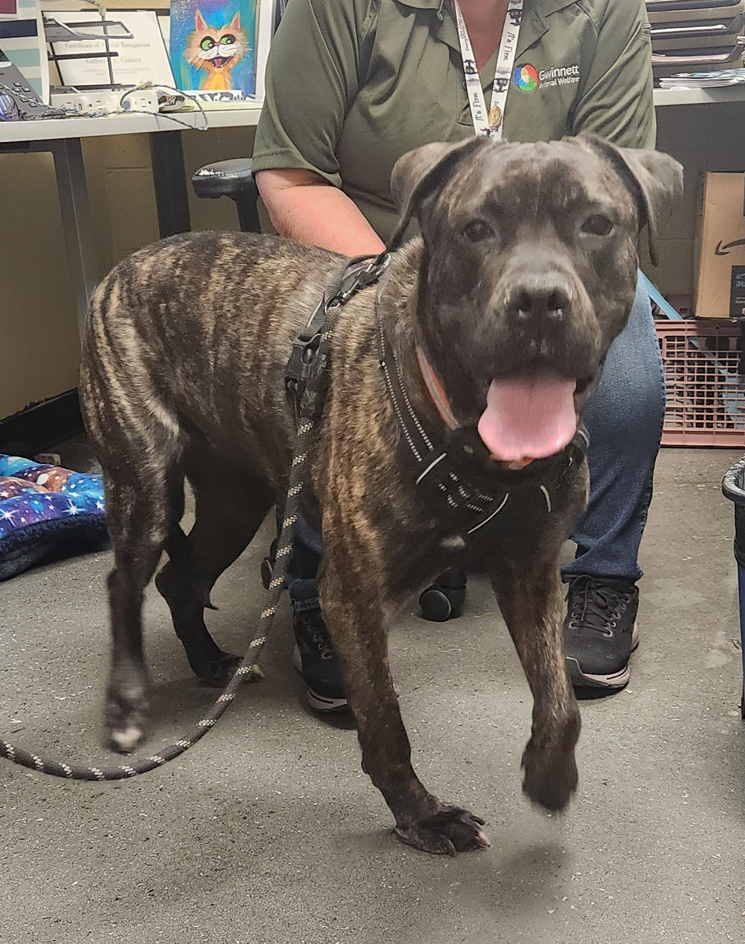 Malibu - SUPER SWEET Big Girl!!