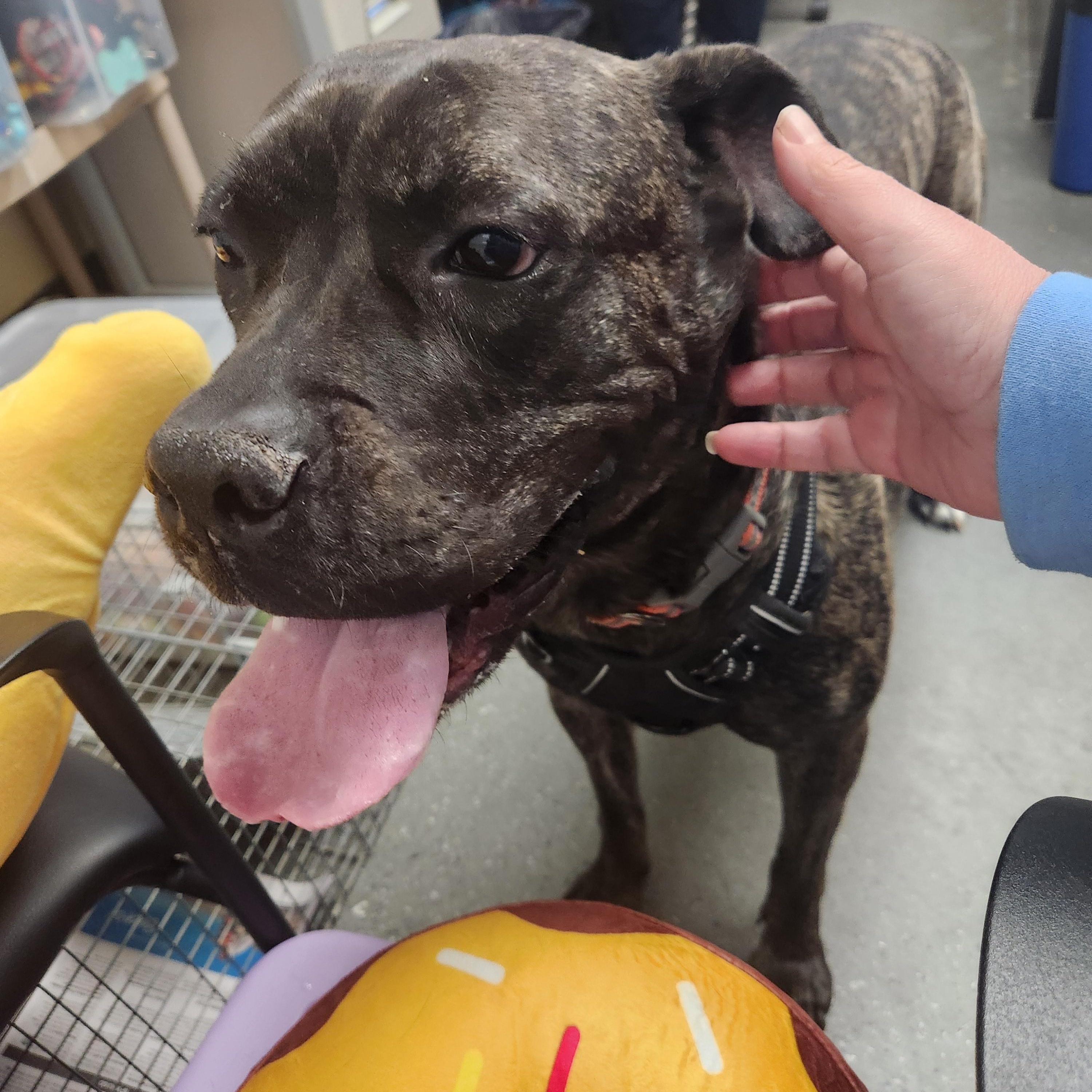 Malibu - SUPER SWEET Big Girl!!