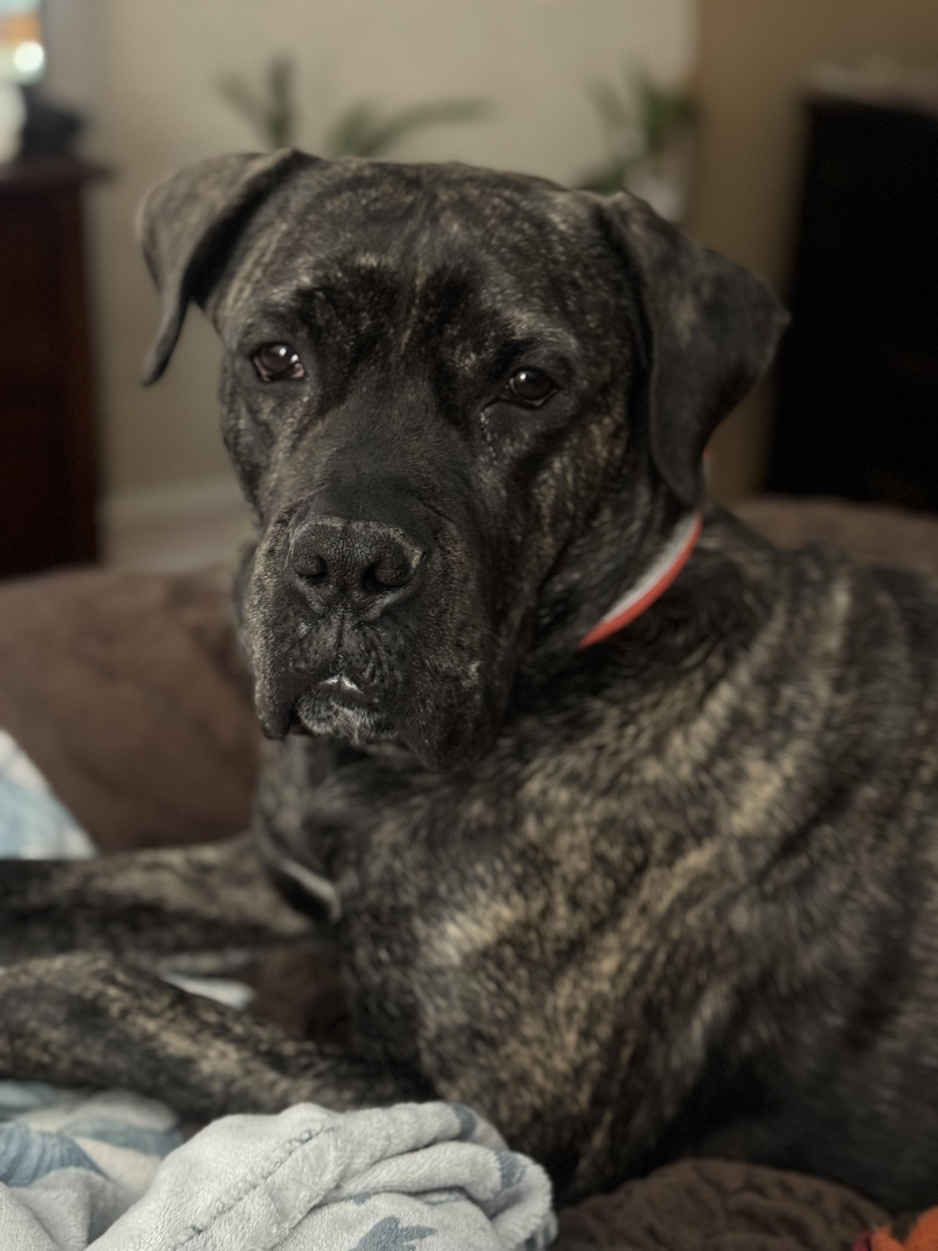 Malibu - SUPER SWEET Big Girl!!