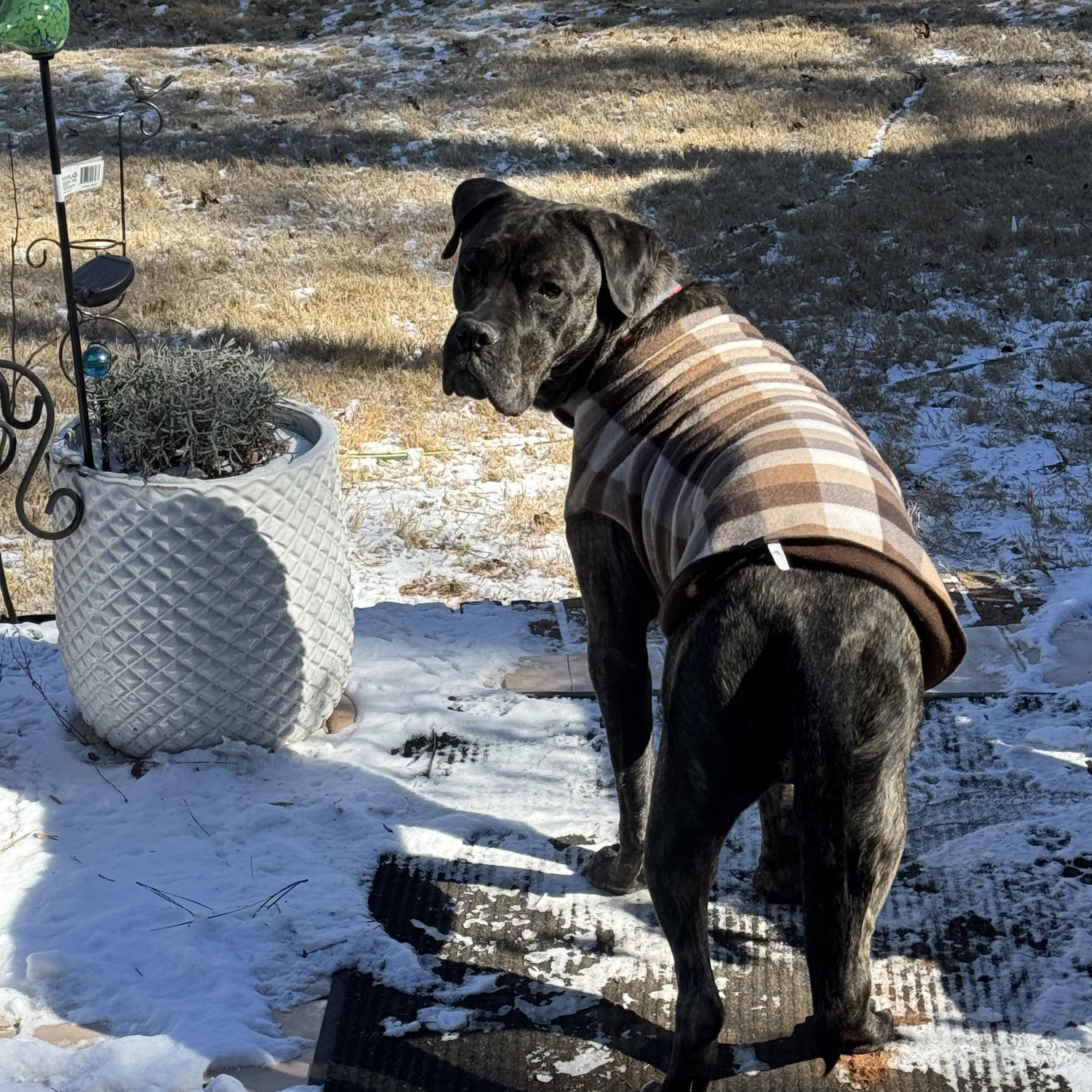 Malibu - SUPER SWEET Big Girl!!