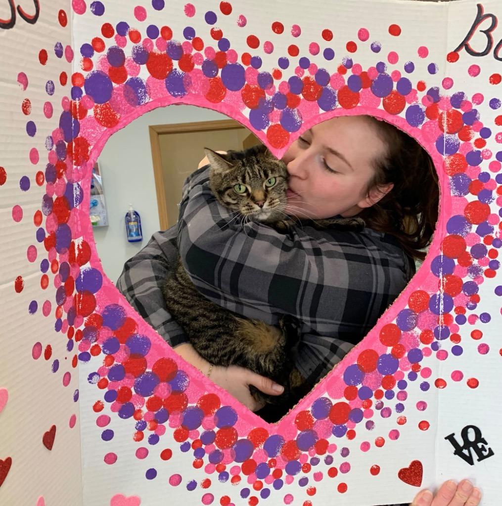 Enlarge Song, a Adoptable mixed breed in Menomonie, WI image 1/2