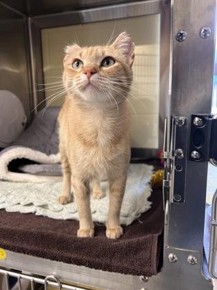 Celine Meown — thumbnail 2