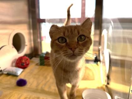 Celine Meown — thumbnail 3