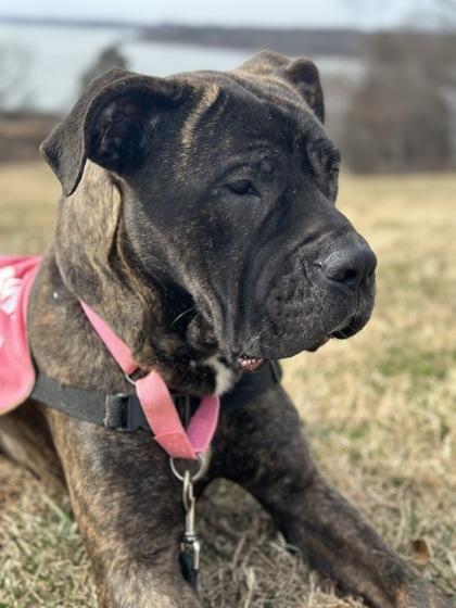 Sparkle — thumbnail 2