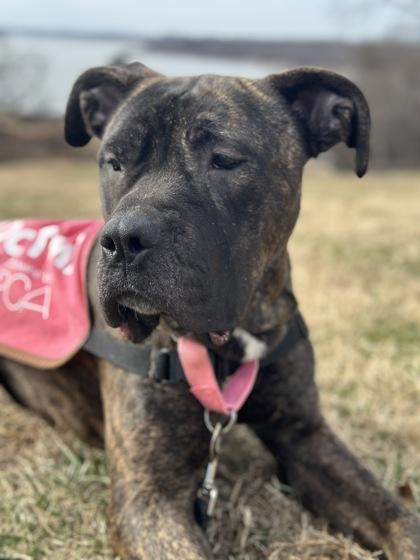 Sparkle — thumbnail 3