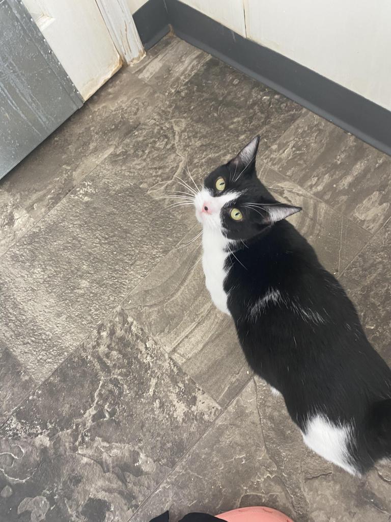 Polly Anna — thumbnail 3