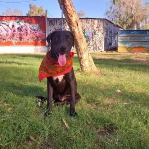 Coco photo 3
