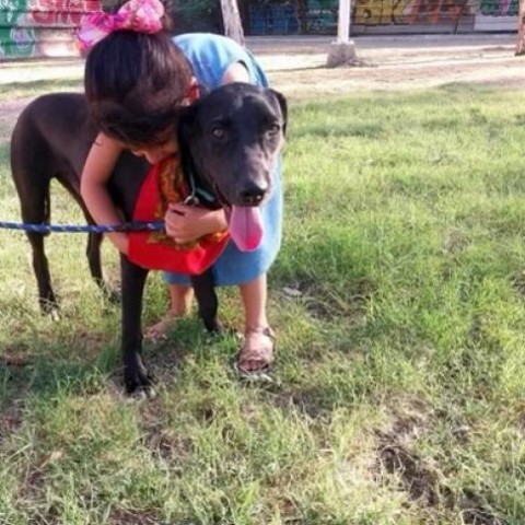 Coco photo 10