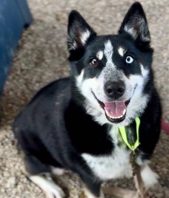 RILEY — thumbnail 2