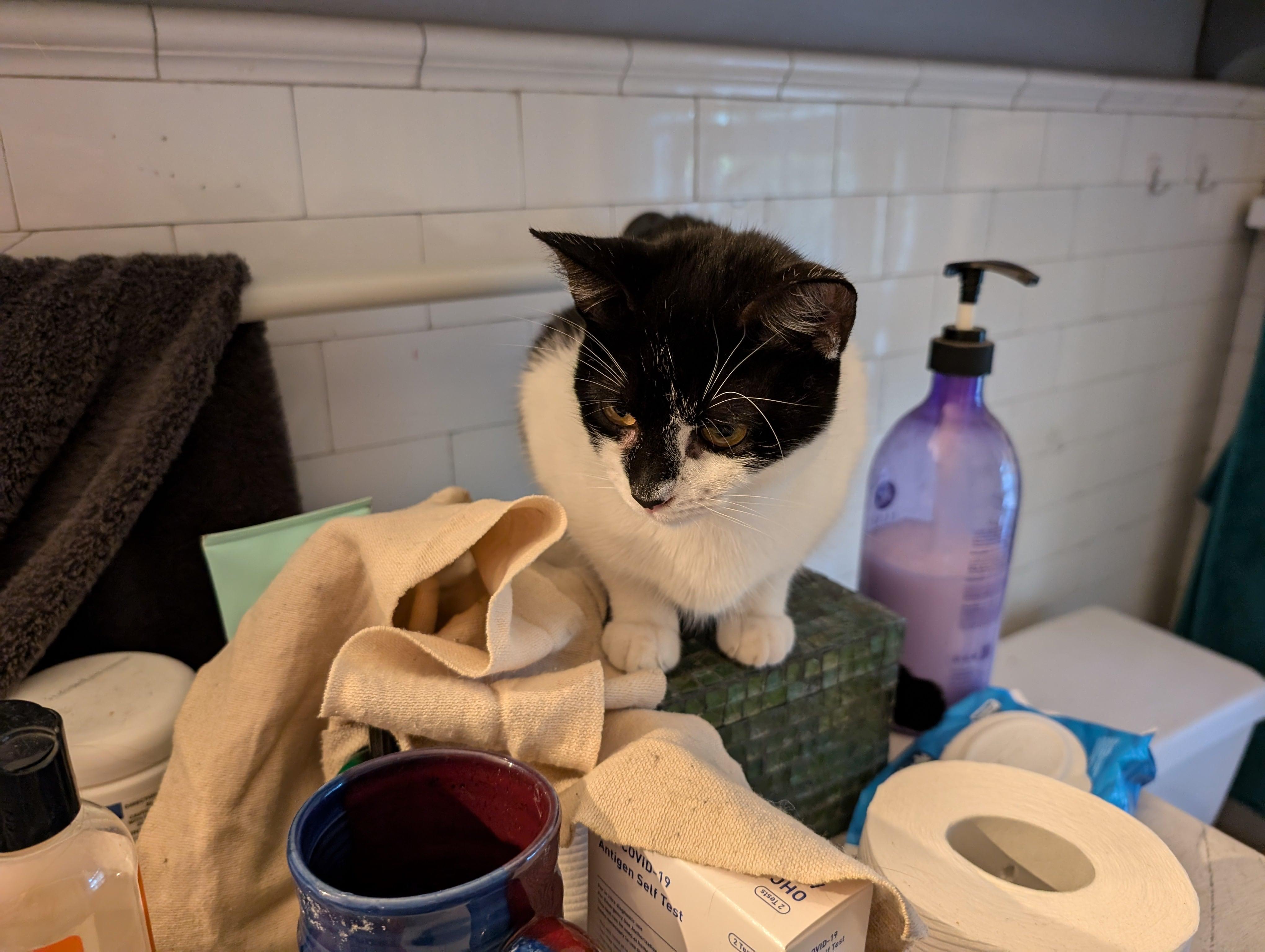 Nellie photo 2
