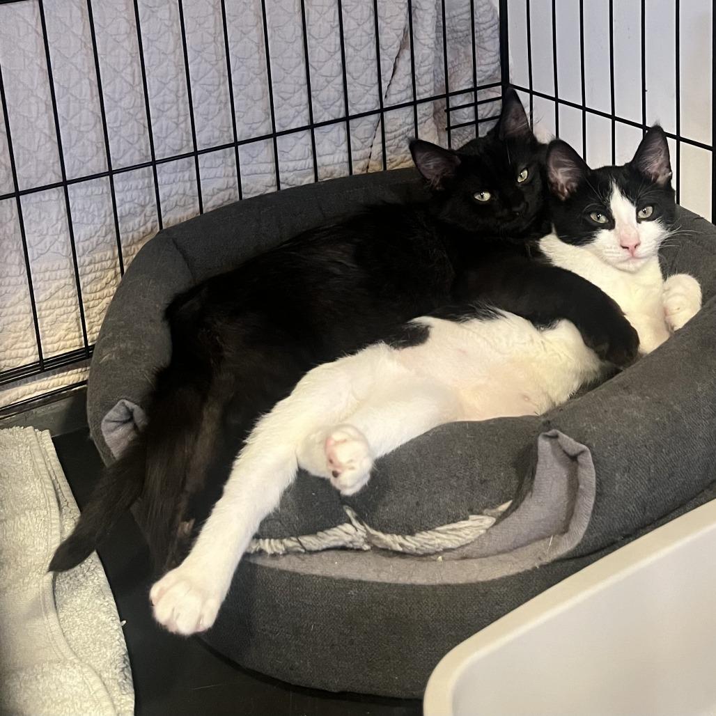 Sally — thumbnail 2