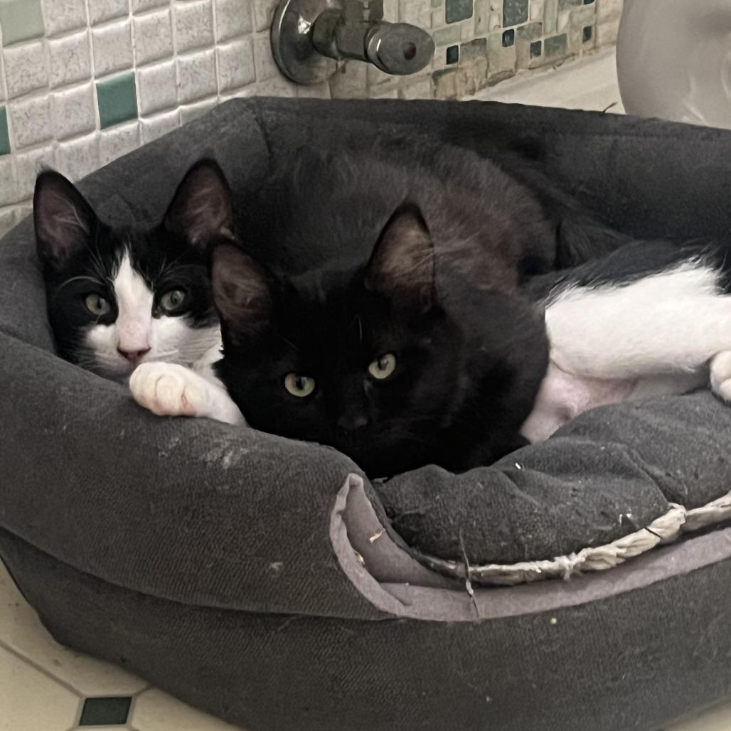 Sally — thumbnail 3