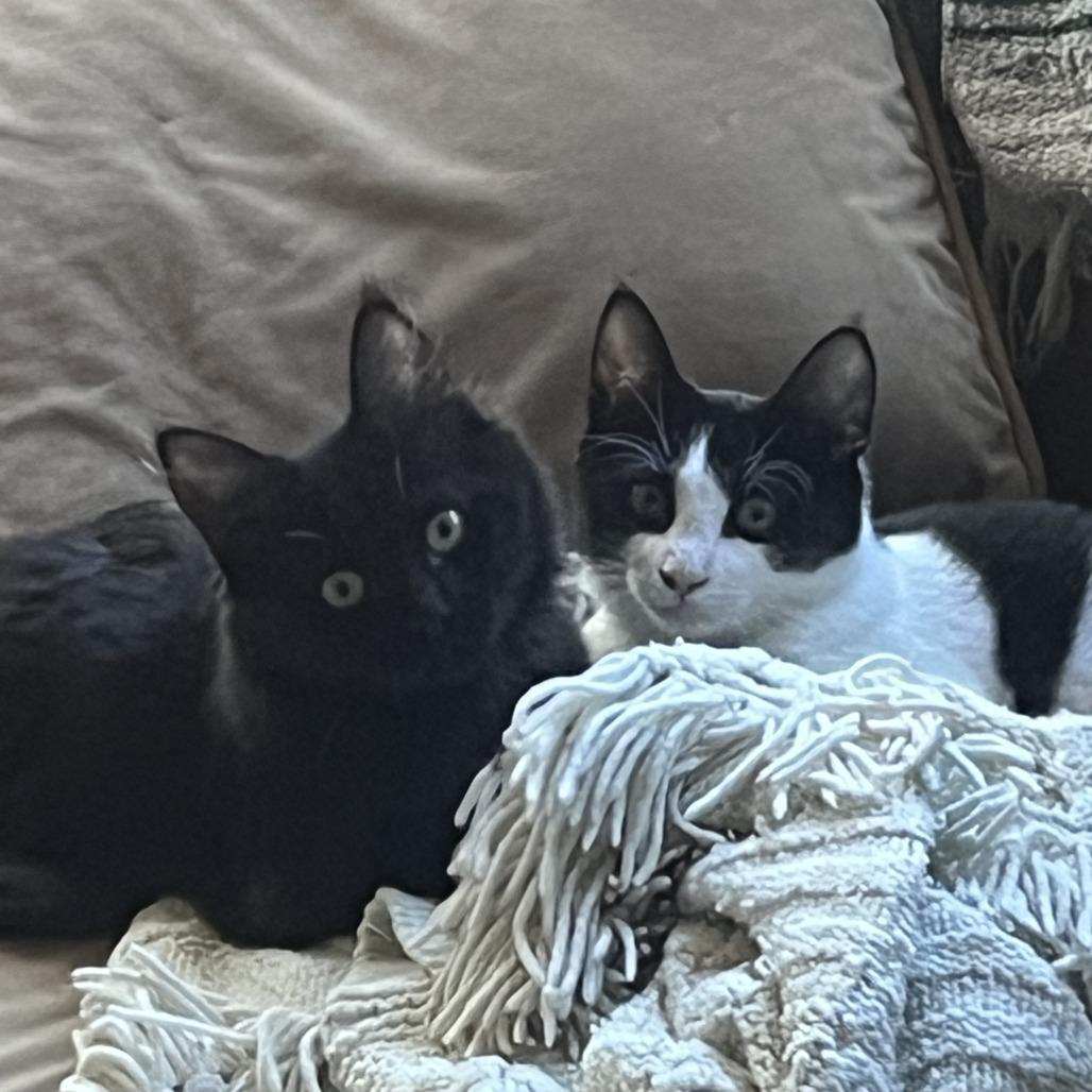 Sally — thumbnail 5