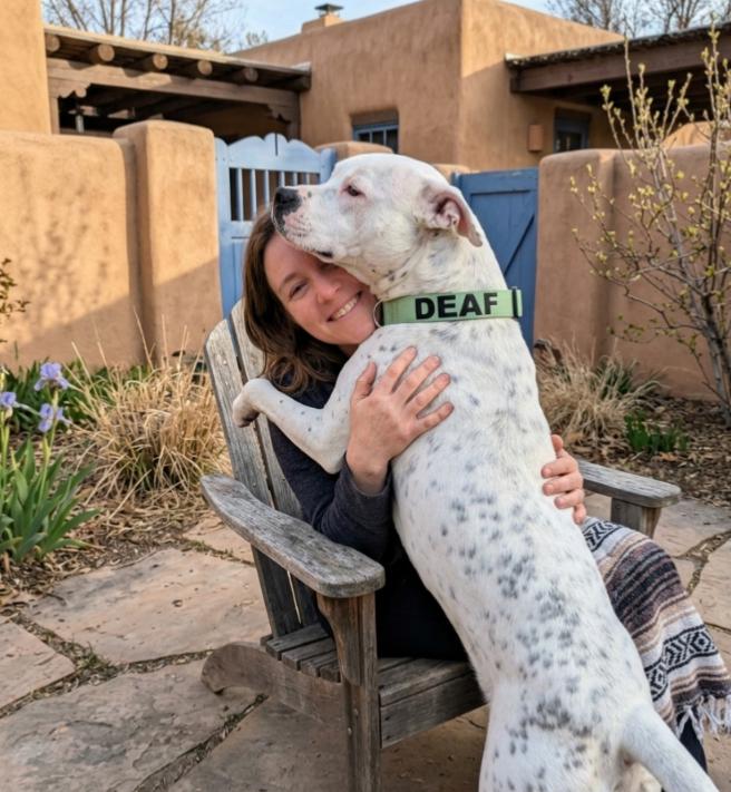 Enlarge SNOWBALL (deaf), a ADOPTABLE mixed breed in Pena Blanca, NM image 1/2