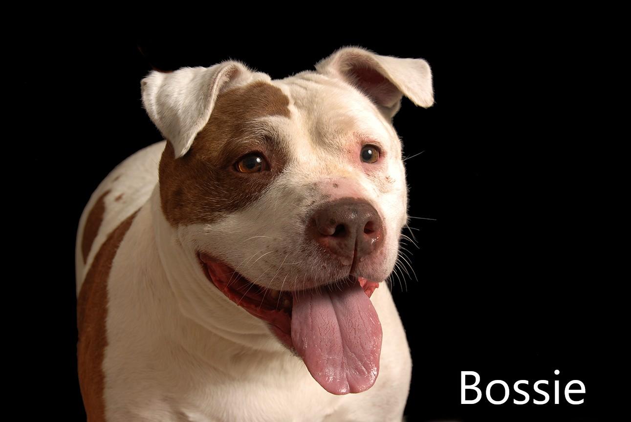 Bossie
