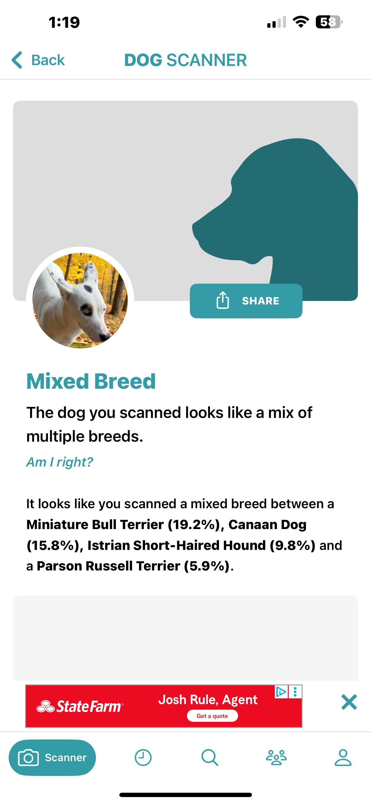 Yoda-Belle, a Adoptable mixed breed in Athens, TN image 2/4