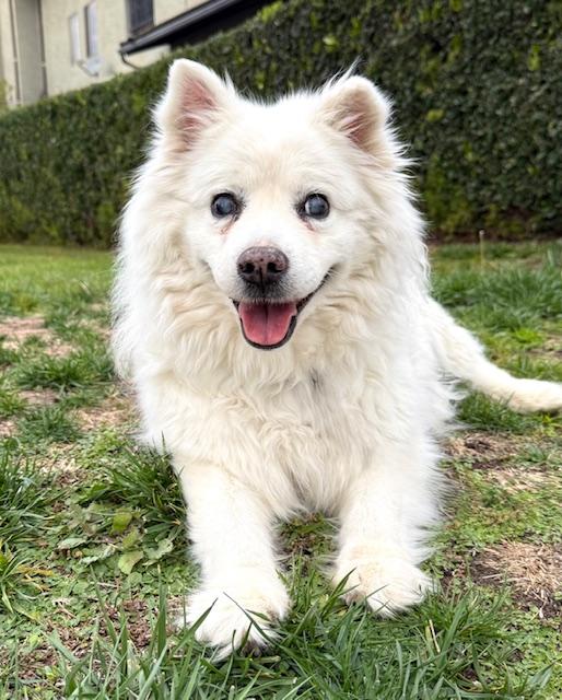 Sophie — thumbnail 5