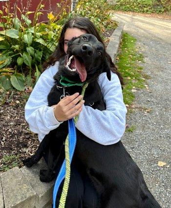 Enlarge Robby, a Adoptable mixed breed in Bedford Hills, NY image 1/6