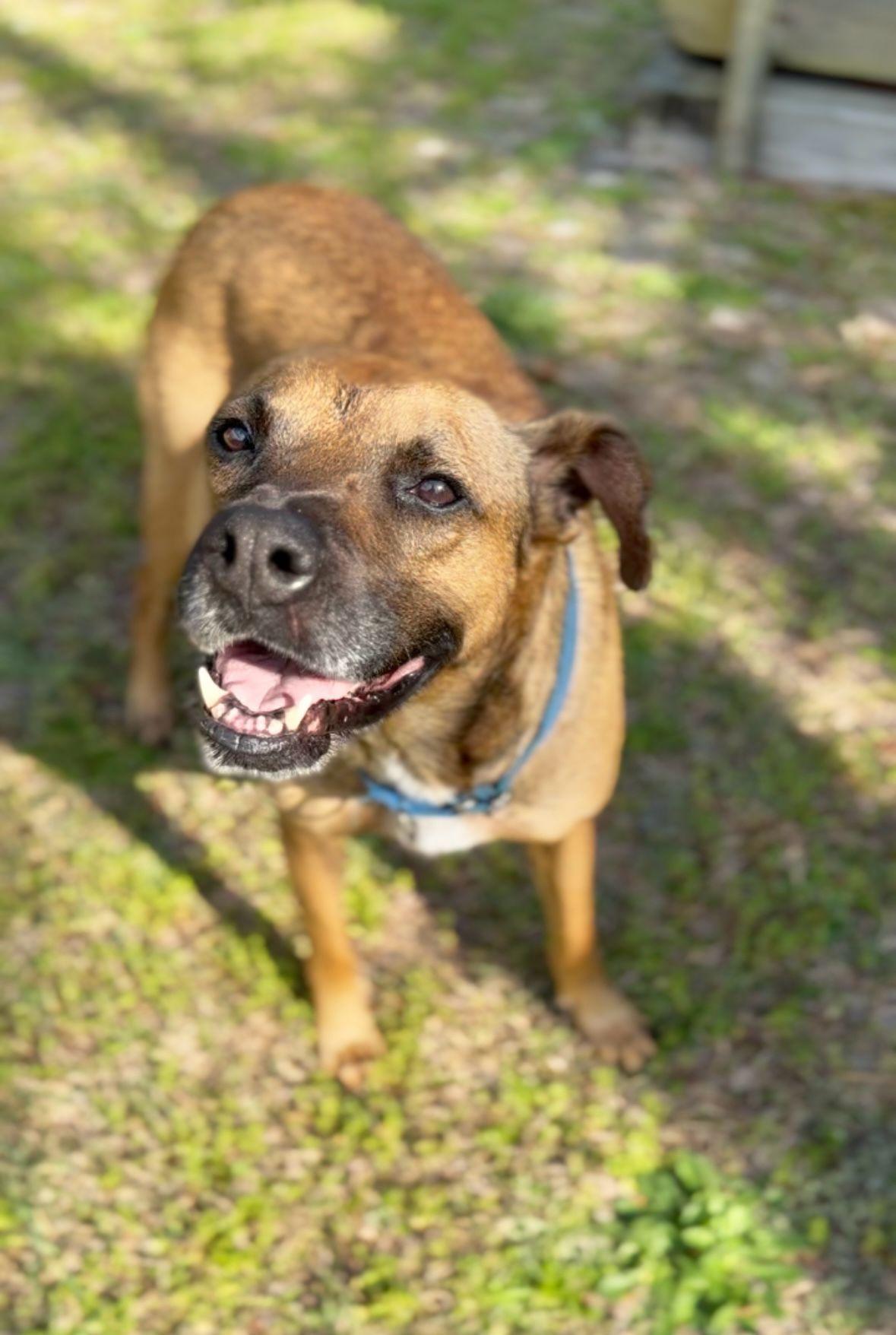 Hank photo 2