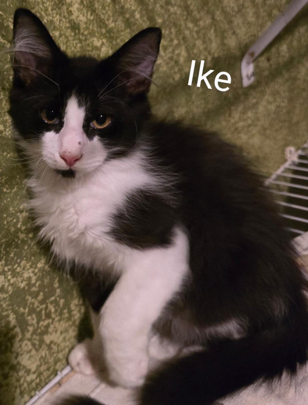 Ike