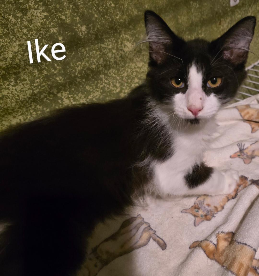 Ike