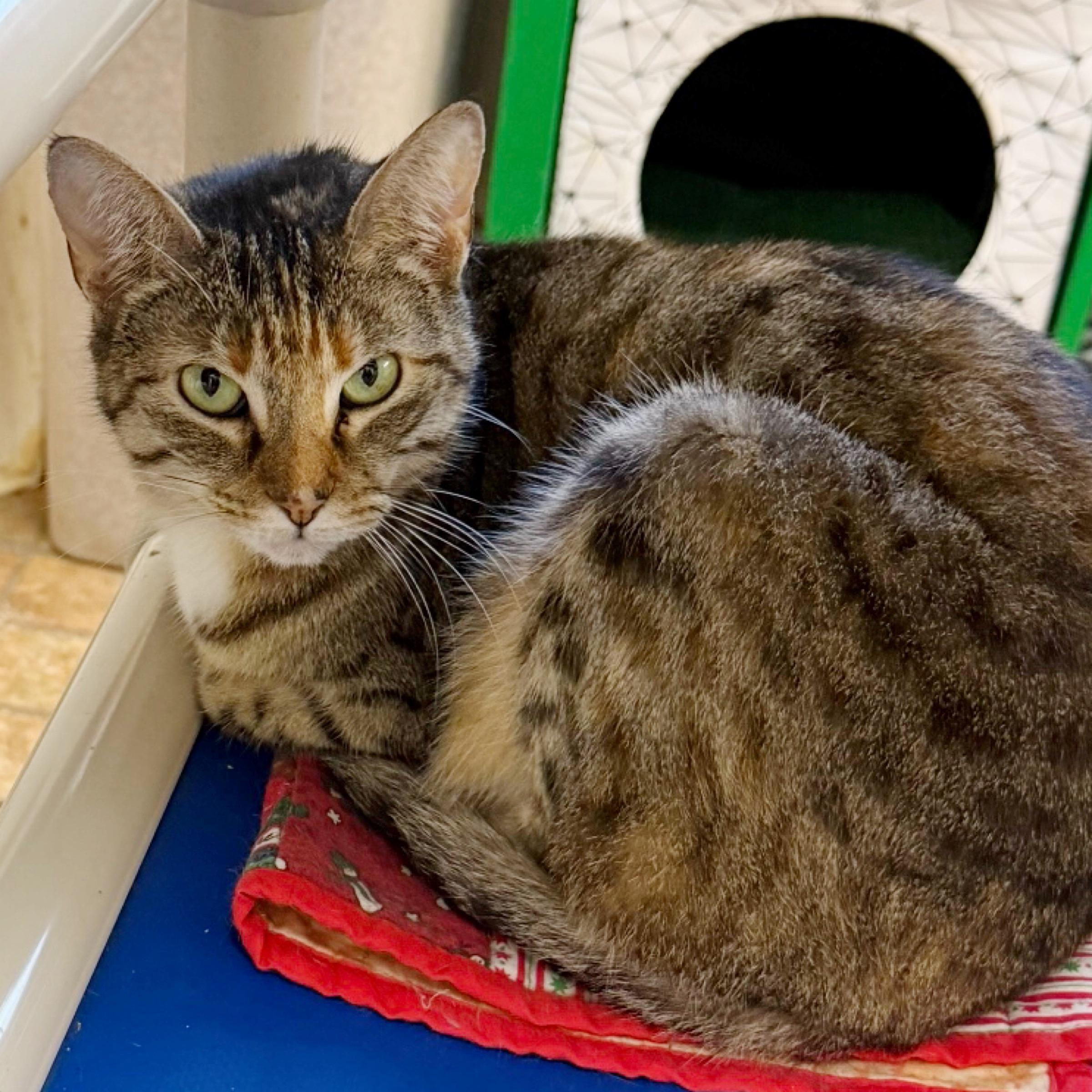 Selina — thumbnail 3